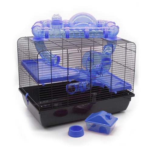 Rodent cage galaxy - cage, +