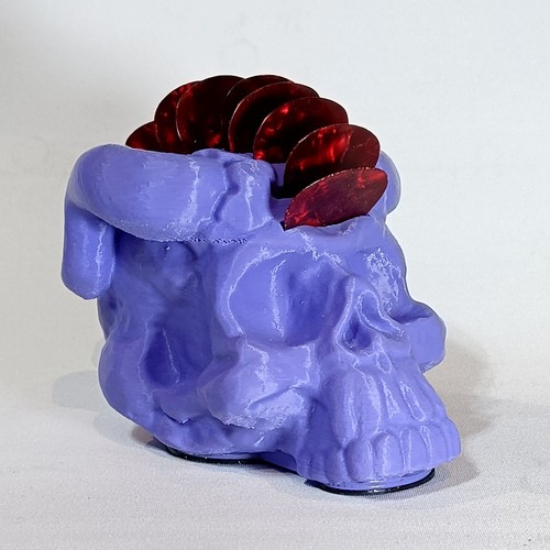 Horned skull guitar - guitar, pick