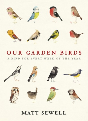 Our garden birds matt - birds,