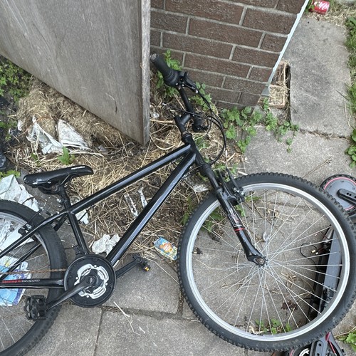 Apollo boys mountain bike - apollo,