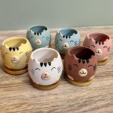Cat Succulent Plant Pots Planter Animal Cute Succulent Home Indoor Gift Cactus