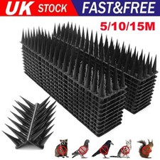 10m 15m pigeon bird - 15m,