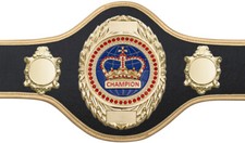 BEAUTIFUL BOXING WRESTLING MMA