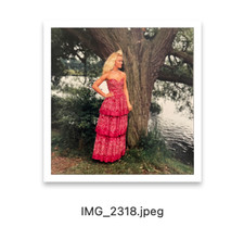 Professionally Taken Photo of