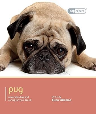Pug dog expert ellen - dog, expert,