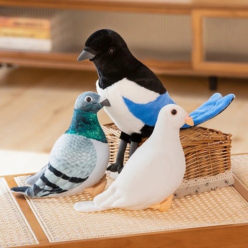 Simulation pigeon bird soft - simulation,