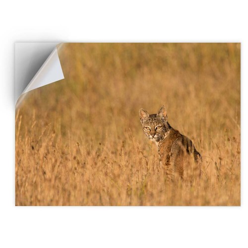 Vinyl sticker bobcat - a4,