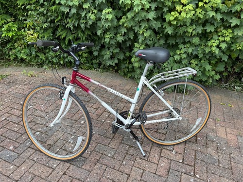 Pioneer raleigh quest - pioneer,