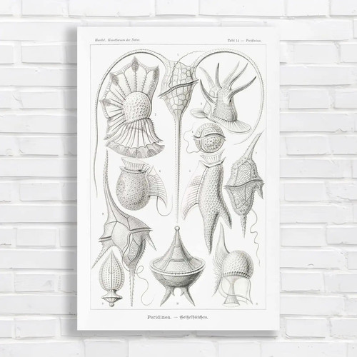 Vintage nautical peridine - nautical,