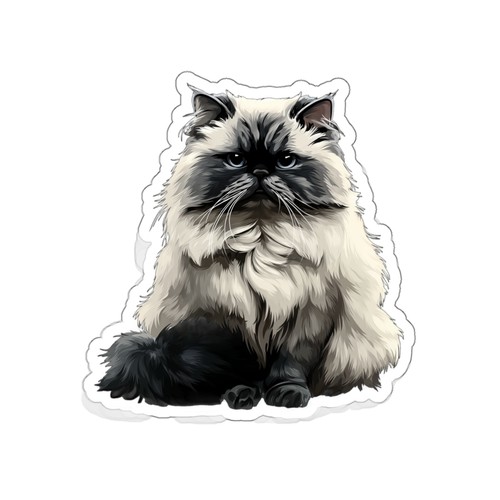 Fluffy himalayan cat die cut - fluffy,