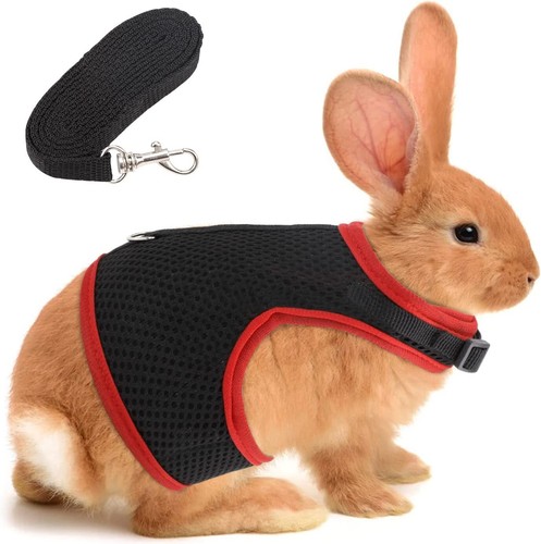 Adjustable rabbit harness - adjustable,