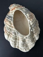 Large Vintage Sylvac Shell