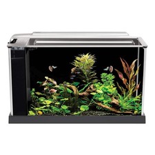 Fluval Spec Aquarium Fish Tank