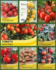 TOMATO SEEDS SELECTION – SOW BY 2023/2024/2025