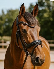 Jet Black Crystal Rock Patent