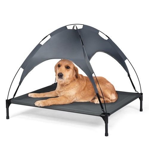 Exlarge elevated raised - elevated, dog
