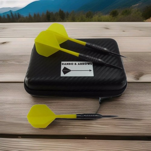 Darts carry case eva - case,