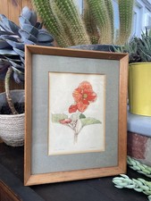 Vintage Mid-Century Original