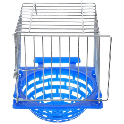 Bird nest hatching pigeon - bird,