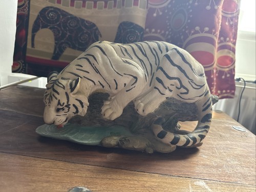 White tiger drinking from - white,