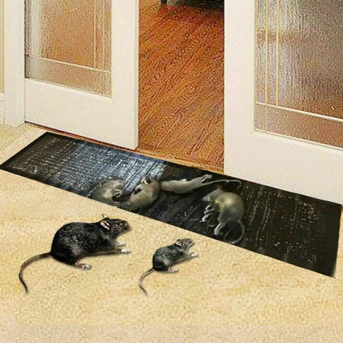 Mouse traps rat mice - rat,