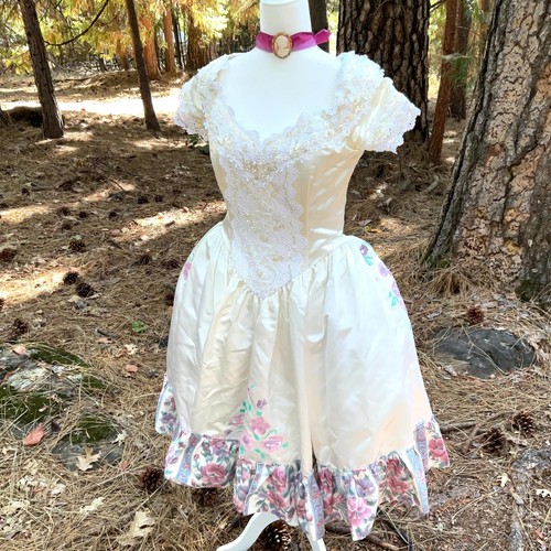Marie antoinette costume dress - antoinette,