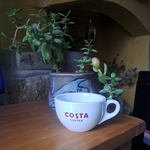 Costa coffee white - costa,