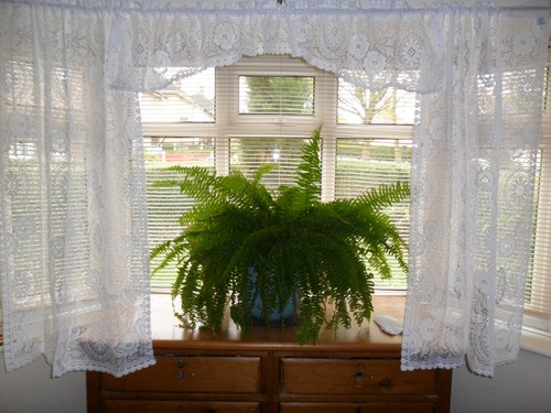 Piece lace curtain set - lace, x