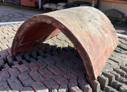 Reclaimed hogs back ridge - hogs,