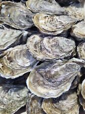 LARGE OYSTER SHELLS(PRICE IS PER 20 SHELLS)