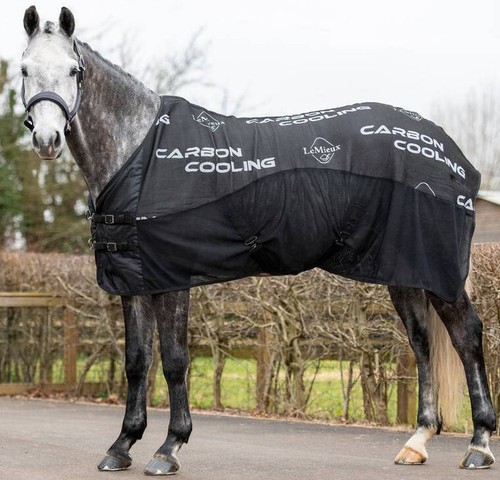 Lemieux carbon cooler soft - carbon,