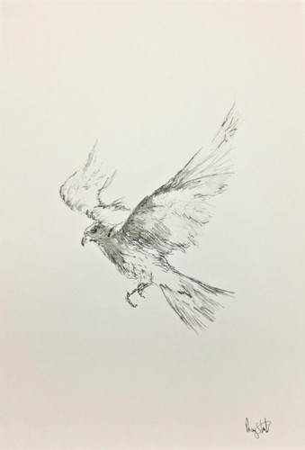 Original kestrel bird - original,