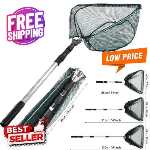 Pond fish catch net - catch,