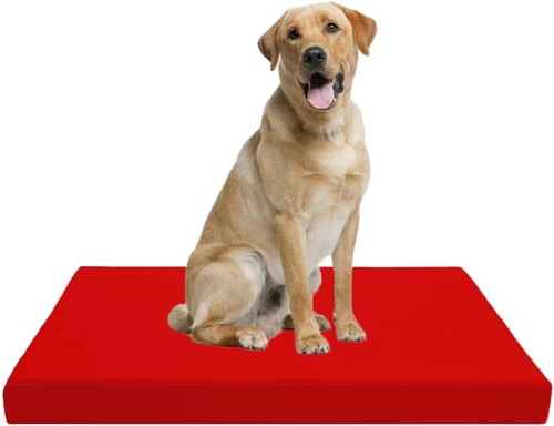 Dog cage bed cushion - dog,