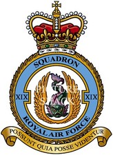 RAF 19 SQUADRON BADGE ON METAL