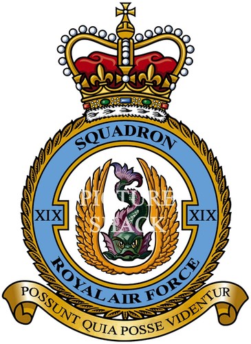 Raf squadron badge - badge, on