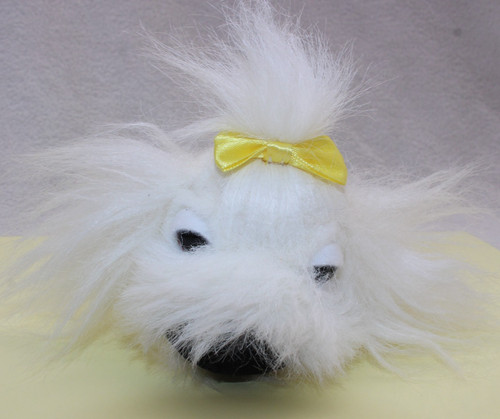 Maltese white fluffy dog - white,