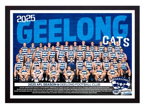 Framed 2025 geelong cats - 2025,