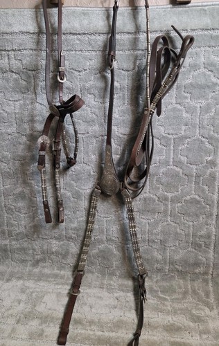 Vintage silvertone western - vintage,