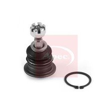 Ball Joint Rear Suspension