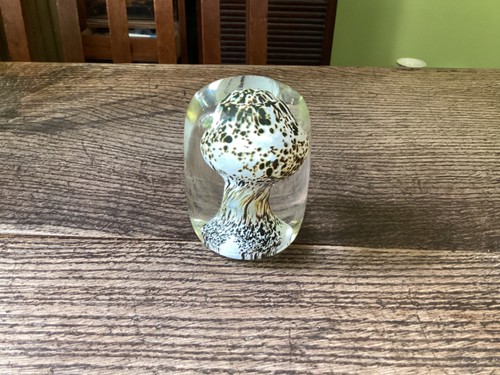 Art glass mushroom - glass, paperweight
