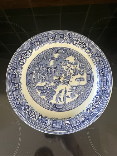 Replacement plate for blue - plate,