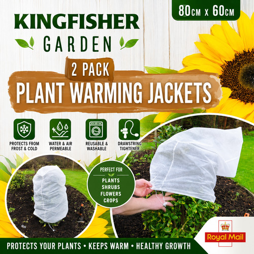 Pack kingfisher plant - 2,