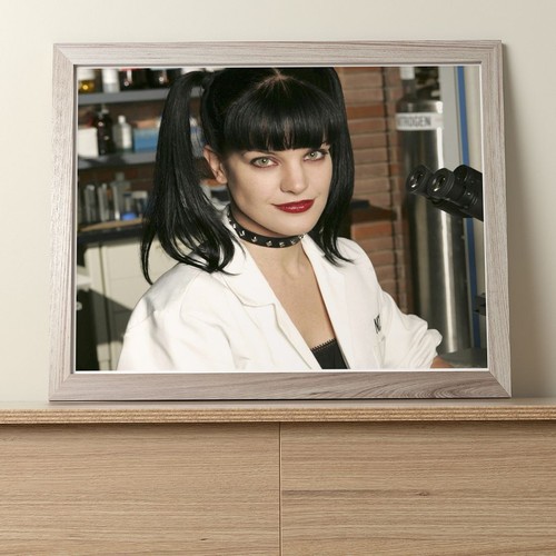 Pauley perrette x8 - perrette, :