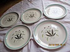 4 x Vintage Alfred Meakin Hedgerow salad plates 9" plus a 10" Dinner Plate