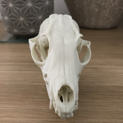 Replica 2pc fox - replica,