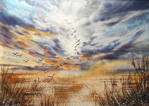 Ducks flying cloud sky - ducks,