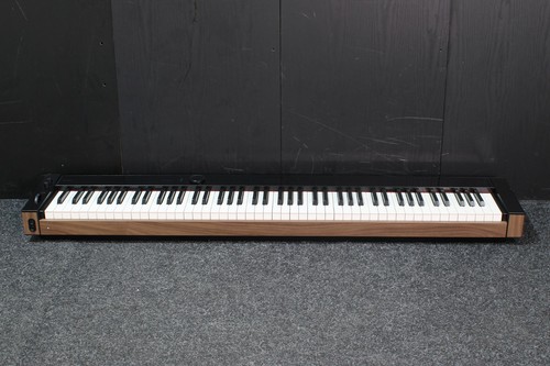 Casio s6000 digital piano - px,