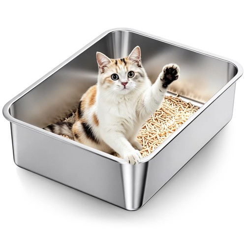 Stainless steel high - stainless, cat