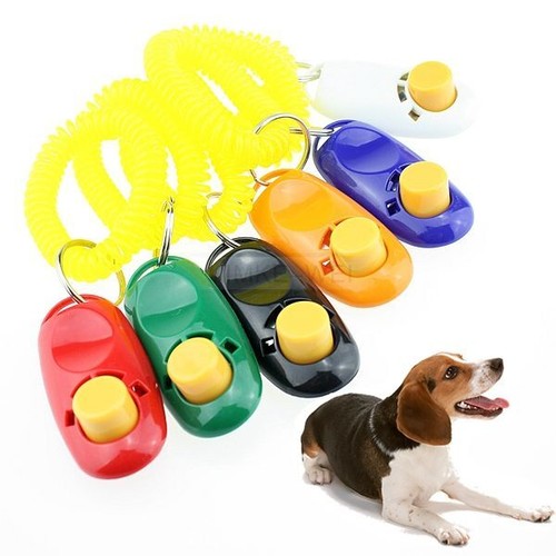 Pet dog cat click clicker - pet,